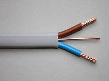 Twin-and-Earth-Cable-2x6mm².jpg