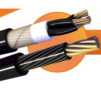 <strong>Cable De Acometida Concéntrica Antifraude</strong>